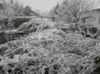 Schnee im März 2009